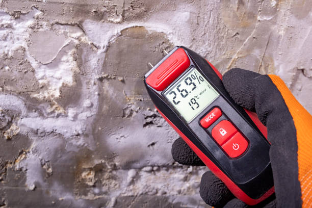 Best Attic Mold Removal  in Emmaus, PA
